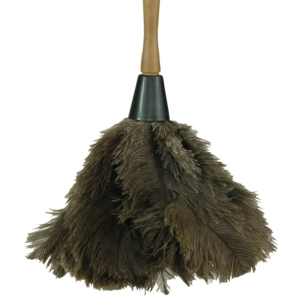 Ostrich Feather Duster